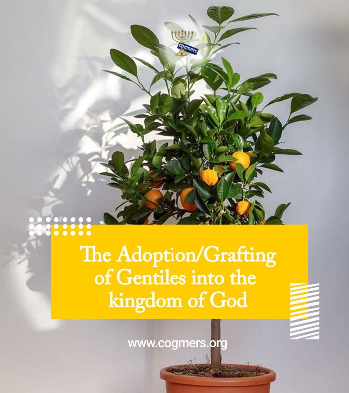 The Grafting of Gentiles into the Commonwealth of Israel