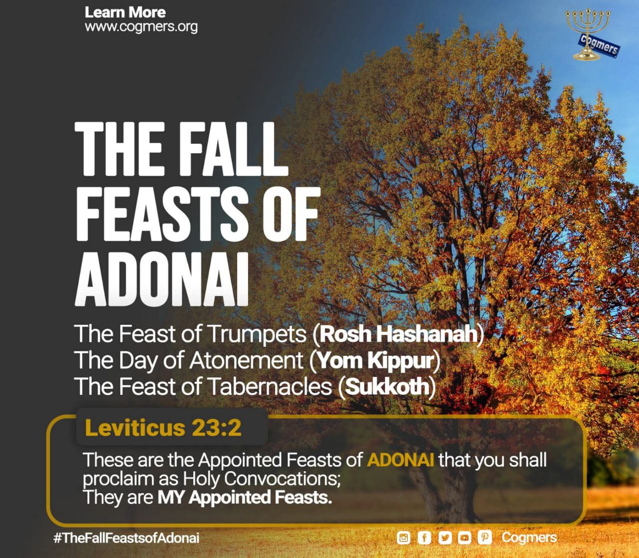 The Fall Feasts